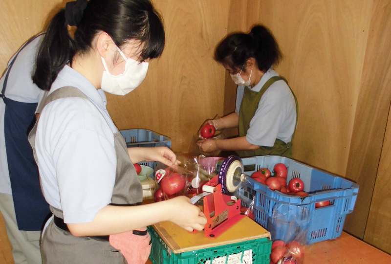 下呂中央市場の請負業務